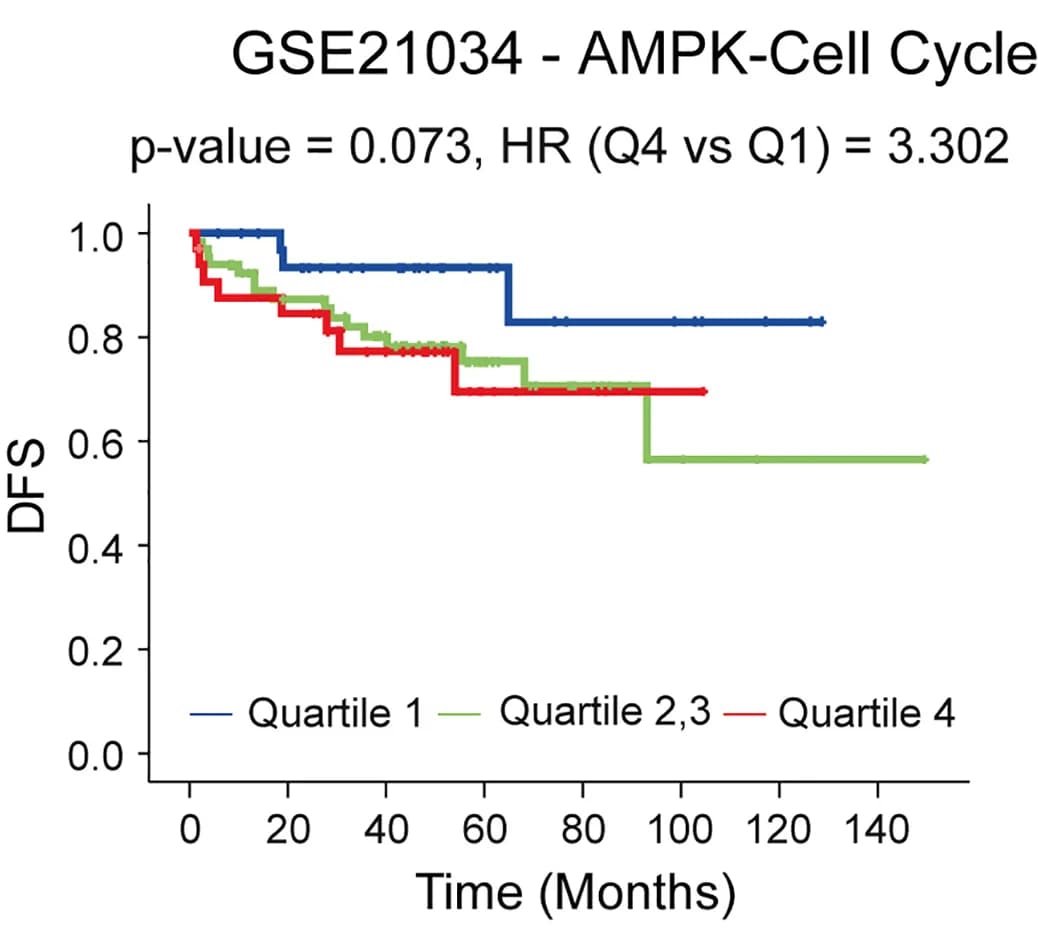 Open access visualization of Survival Curve, Line Step, AMPK-Cell Cycle, Gene Expression, Human PCa
