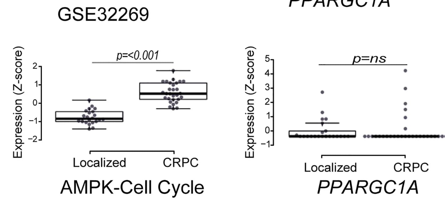 Open access visualization of Box Plot, Scatter Plot, Z-scores, mRNA Expression, AMPK-Cell Cycle