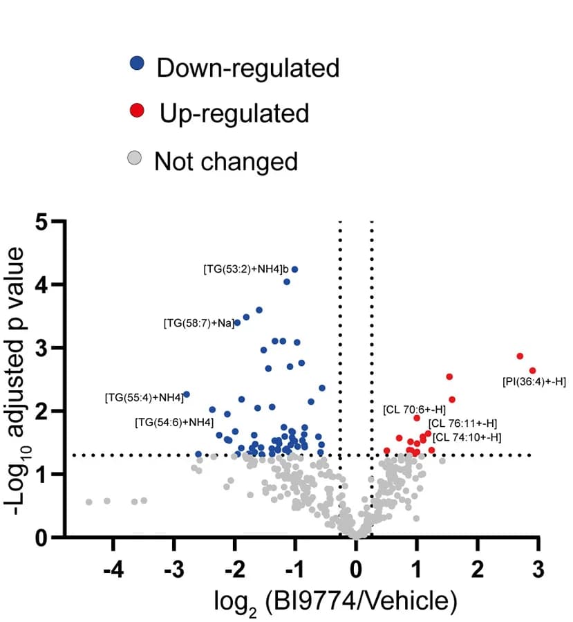 Open access visualization of Volcano Plot, Scatter Plot, Pharmacological AMPK Activation, Xenograft Model, Lipid Species
