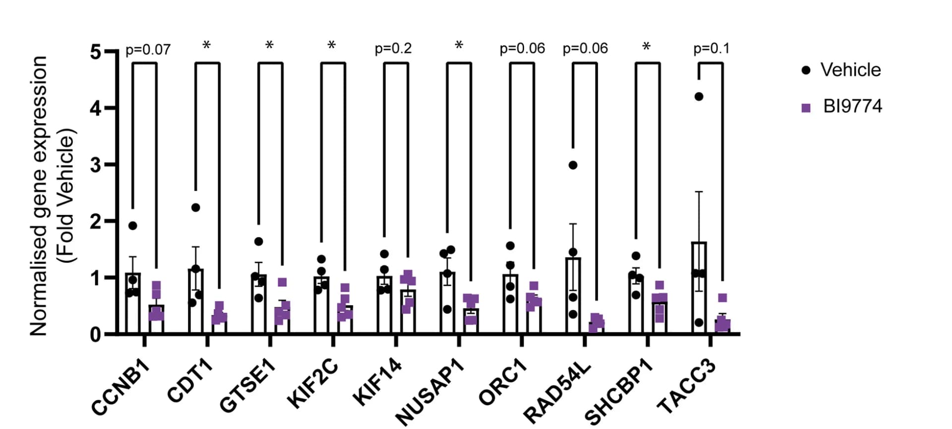 Open access visualization of Bar Plot, Error Bars, Scatter Plot, mRNA Expression, AMPK-Cell Cycle Genes