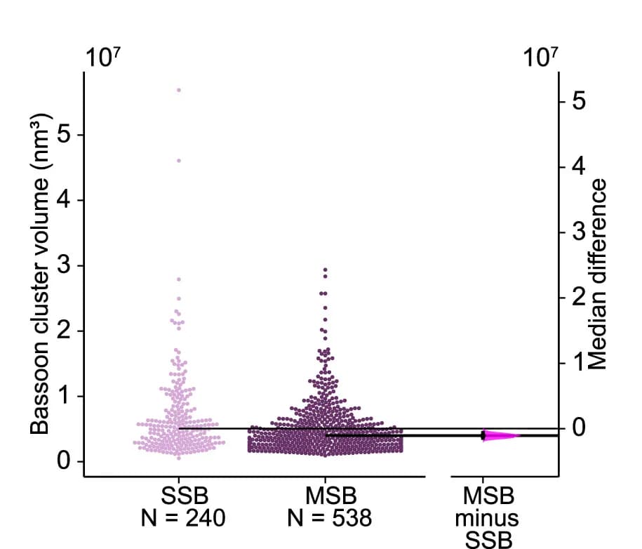 Open access visualization of Scatter Plot, Bassoon, Cluster Volume, SSBs, MSBs