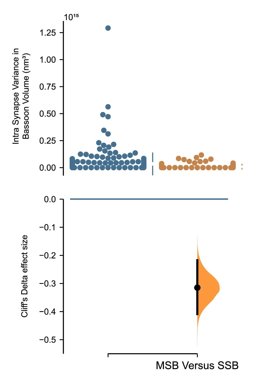Open access visualization of Scatter Plot, Violin Plot, Intrasynapse Variance, Bassoon, Cluster Volume