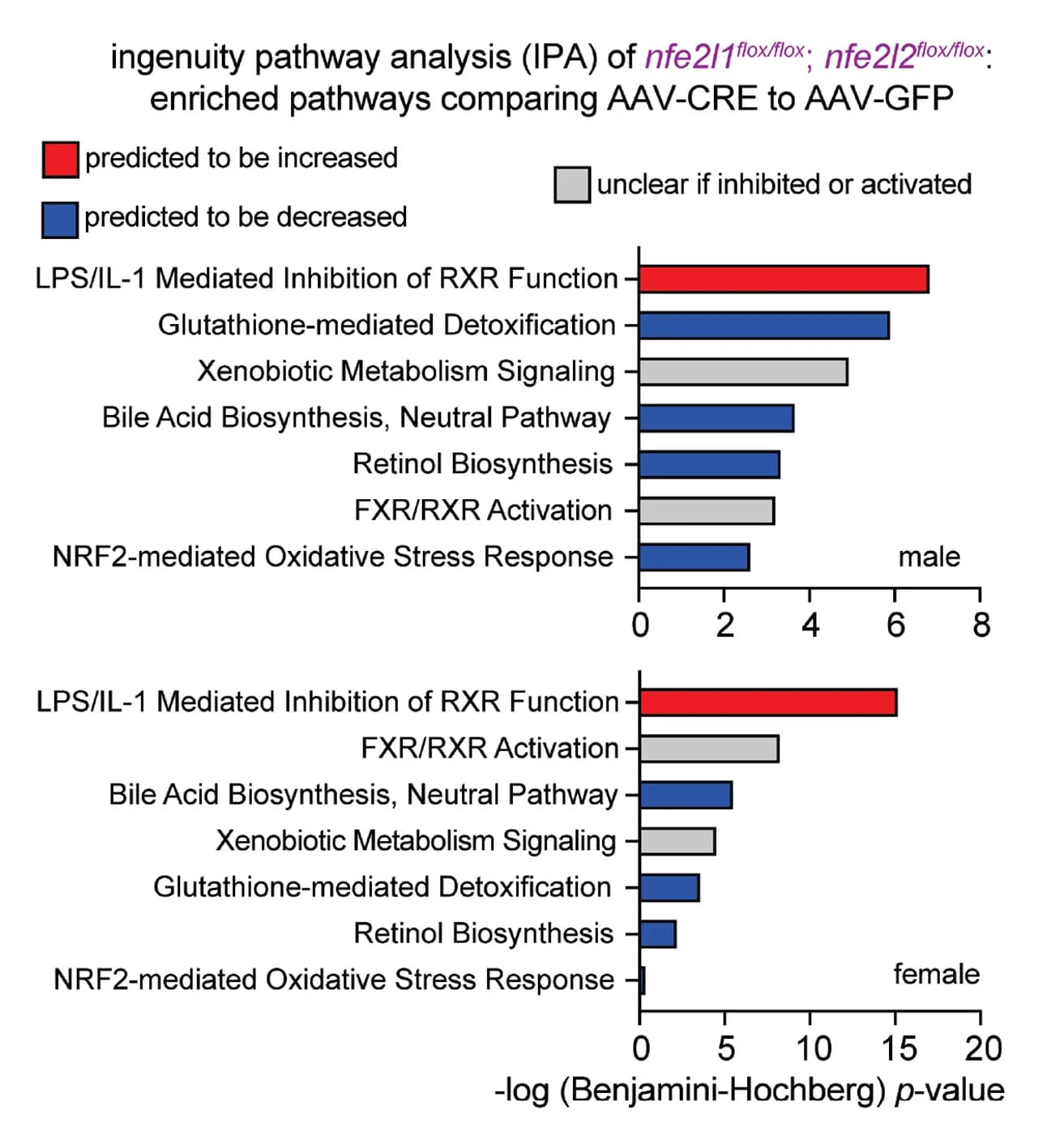 Open access visualization of Bar Plot, Ingenuity Pathway Analysis, Hepatocyte, NRF1, NRF2