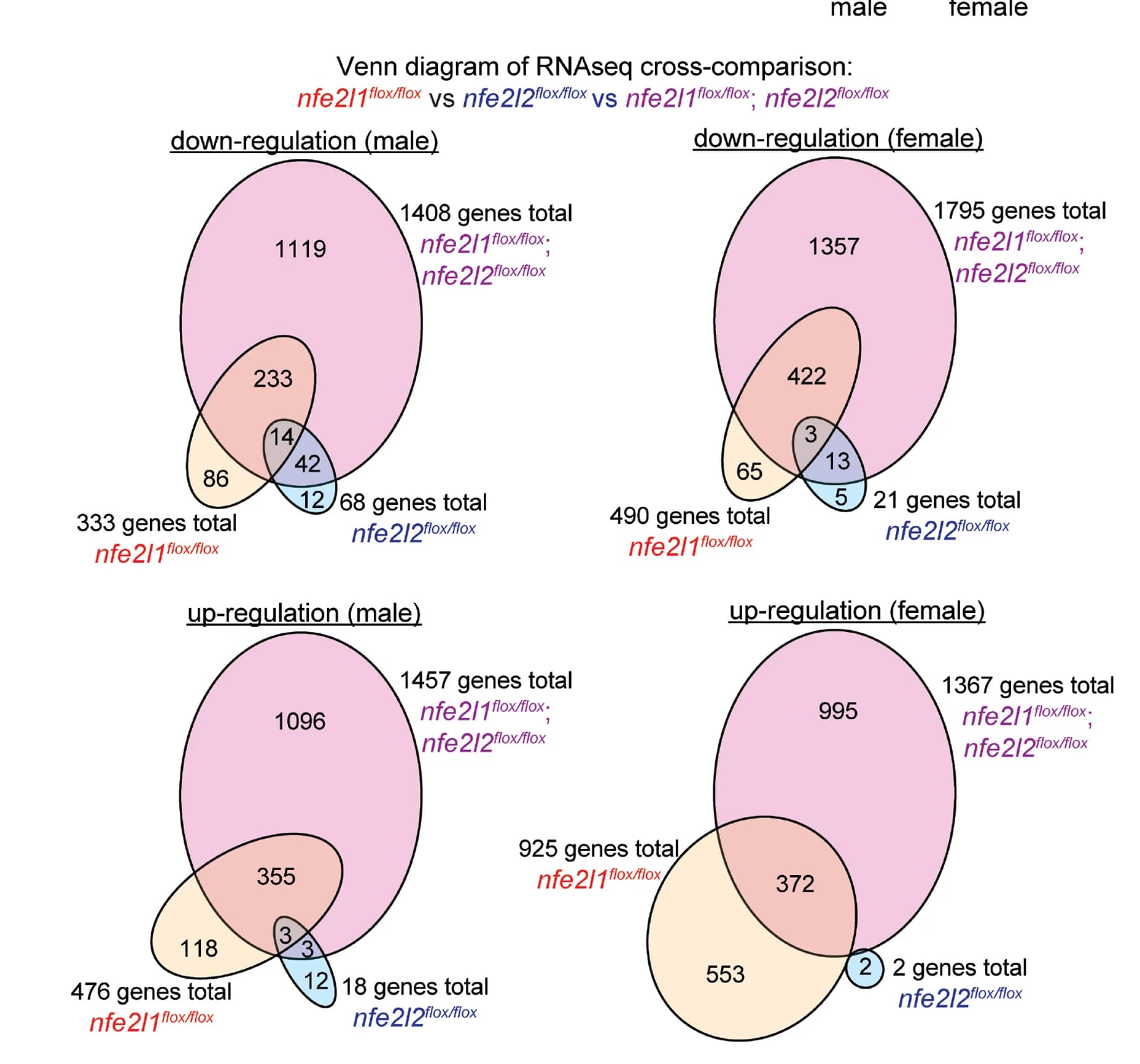 Open access visualization of Venn Diagram, Gene Regulation, Gene Deletion