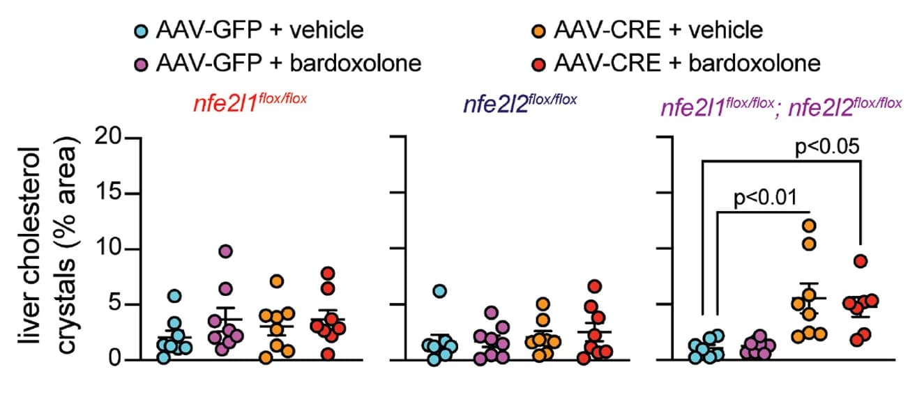 Open access visualization of Scatter Plot, Error Bars, Cholesterol Crystals, Liver Sections, Microscopy