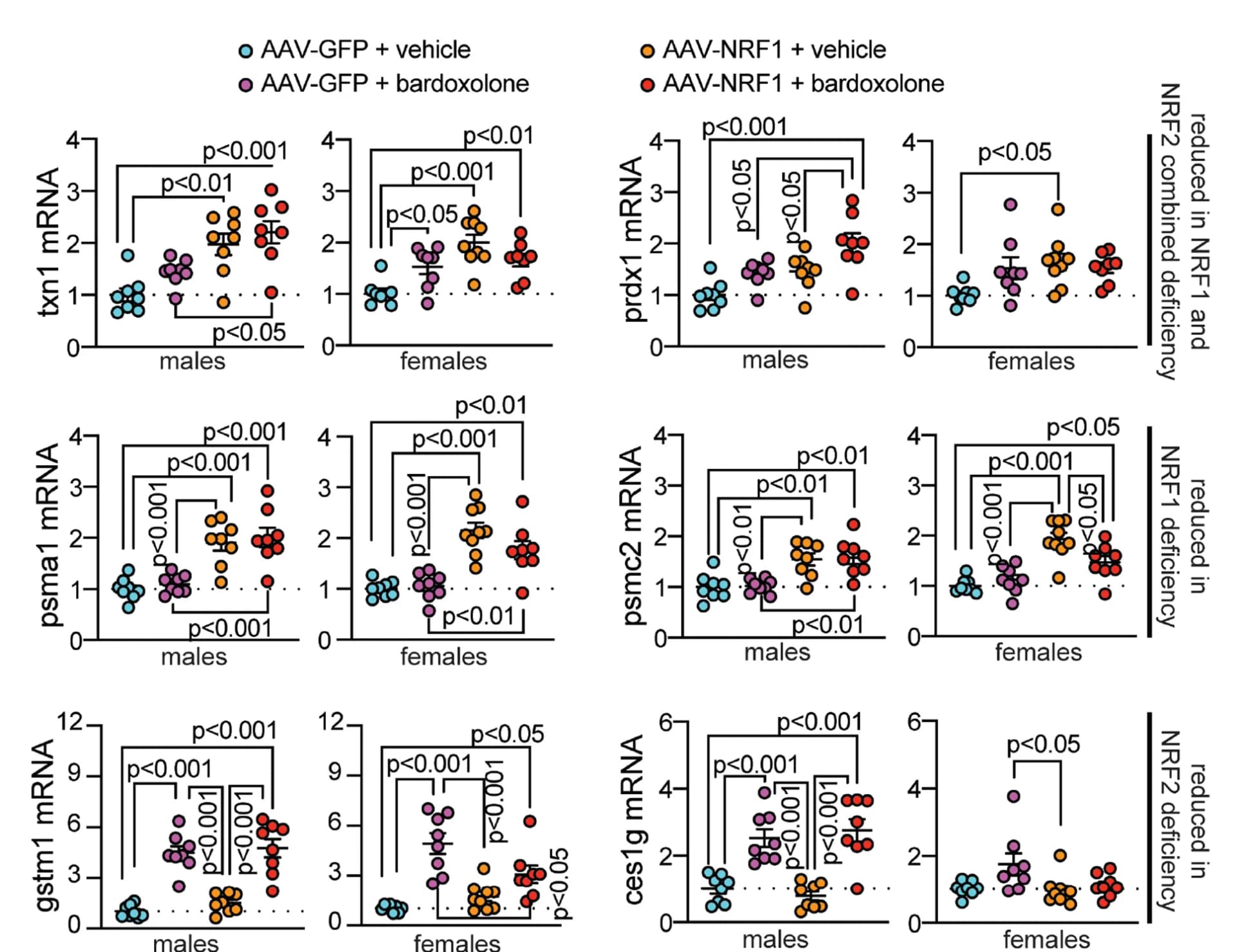 Open access visualization of Scatter Plot, Error Bars, NRF1, NRF2, Gene Expression