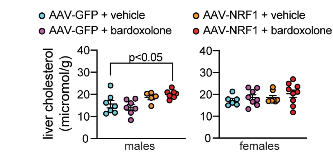 Open access visualization of Scatter Plot, Error Bars, Cholesterol, Liver