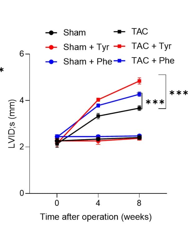 Open access visualization of Line Plot, Error Bars, Echocardiography, Heart Function, LVIDs