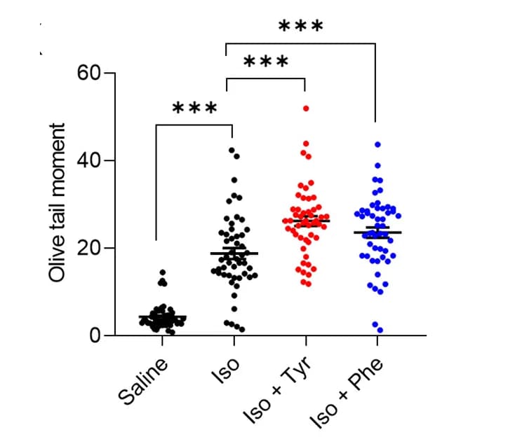 Open access visualization of Scatter Plot, DNA Damage, Cardiomyocytes, Alkaline Comet Assay, Heart Tissue