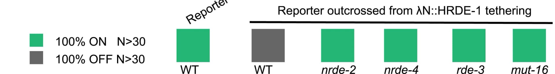 Open access visualization of Bar Plot, Genetic Requirements, Inherited Silencing, HRDE-1, Tethering