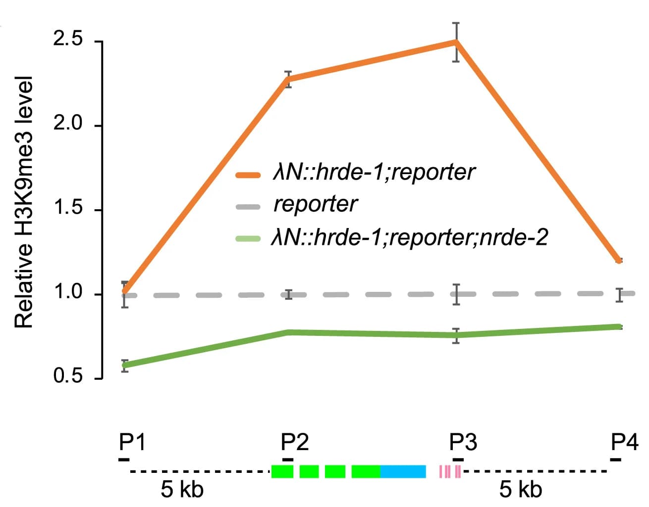Open access visualization of Line Plot, Error Bars, H3K9me3 levels, Reporter, HRDE-1