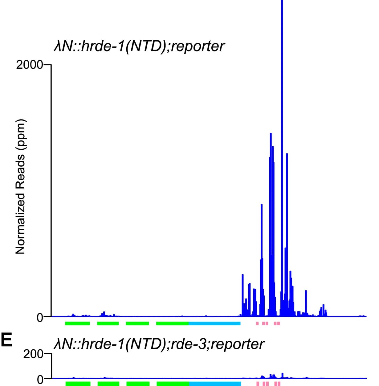 Open access visualization of Line Plot, Line Step, Antisense Small RNA, Reporter, N::NTD