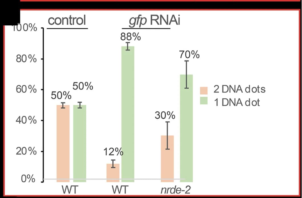 Open access visualization of Bar Plot, Error Bars, Clustered, Bar Graph, Nuclei
