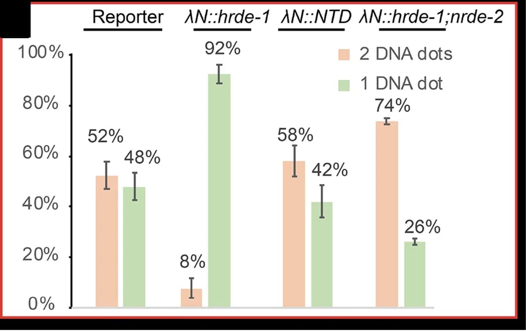 Open access visualization of Bar Plot, Error Bars, Clustered, Bar Graph, Nuclei