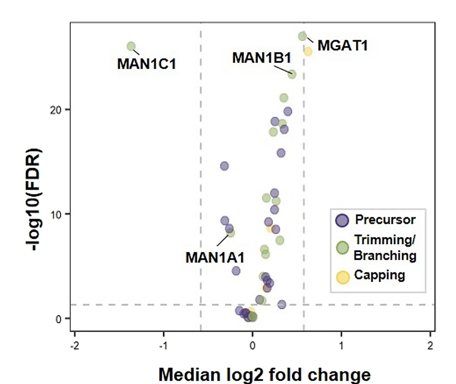 Open access visualization of Scatter Plot, Volcano Plot, Glycosylation Enzymes, Differential Analysis, Fold Change