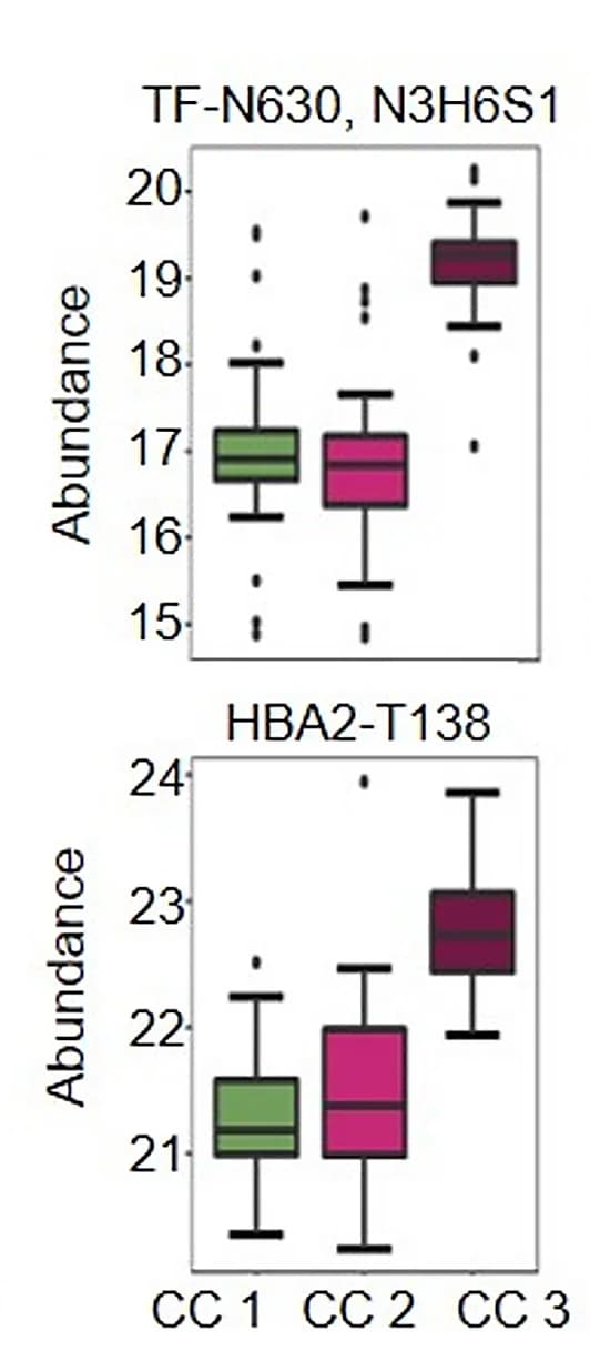 Open access visualization of Box Plot, Glycosylation, TF-N630, Phosphorylation, HBA2-T138