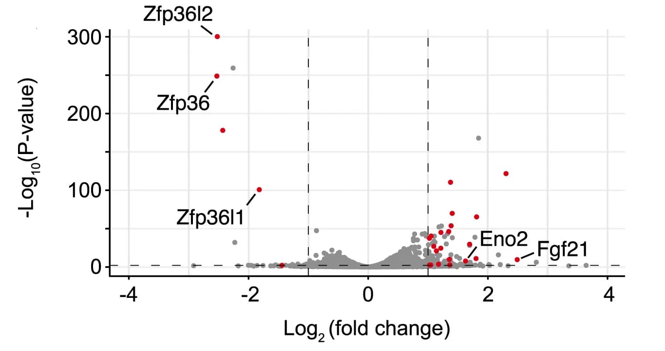 Open access visualization of Volcano Plot, Scatter Plot, RNA-seq, MEFs, Serum Deprivation