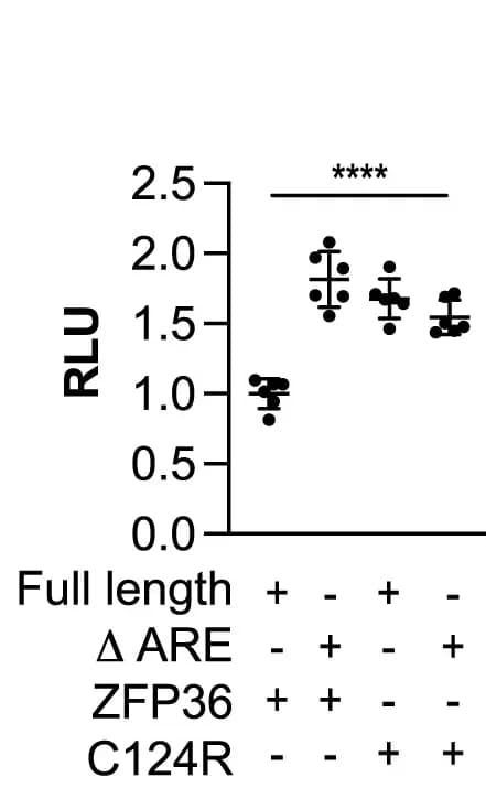 Open access visualization of Scatter Plot, Error Bars, Luciferase Activity, HeLa Cells, Eno2 3' UTR