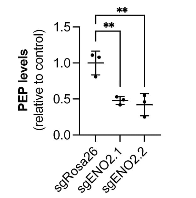 Open access visualization of Error Bars, Bar Plot, LC-MS, Glucose, Phosphoenolpyruvate
