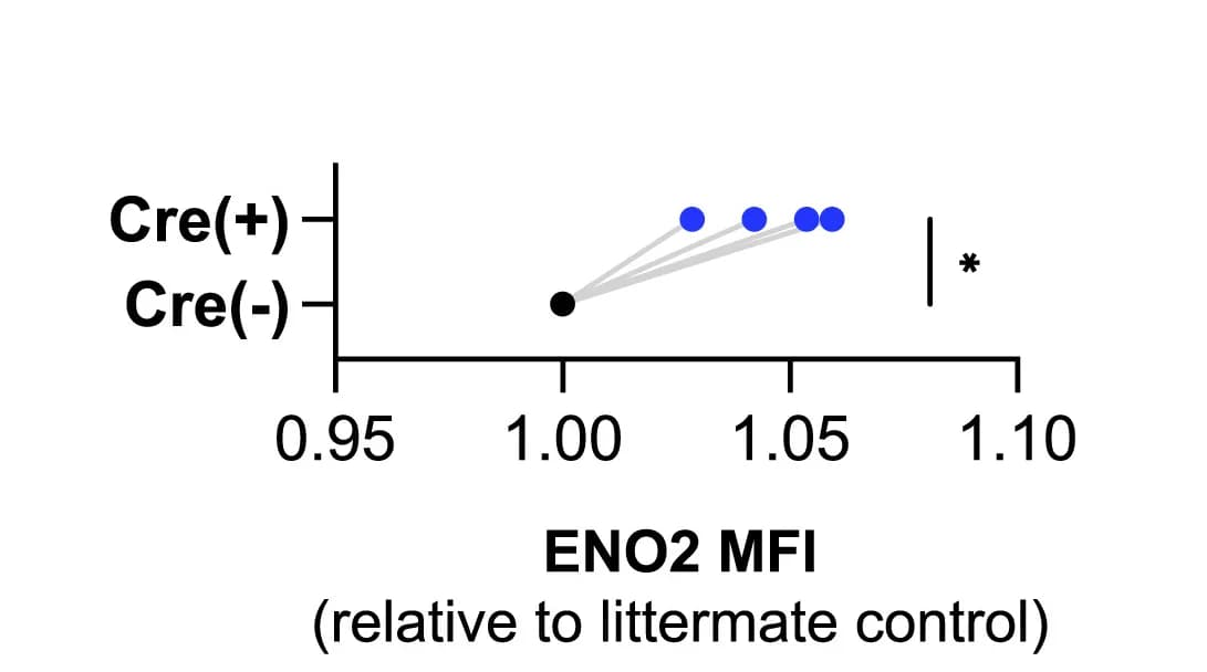 Open access visualization of Scatter Plot, ENO2 signal, Quantification, Neonates
