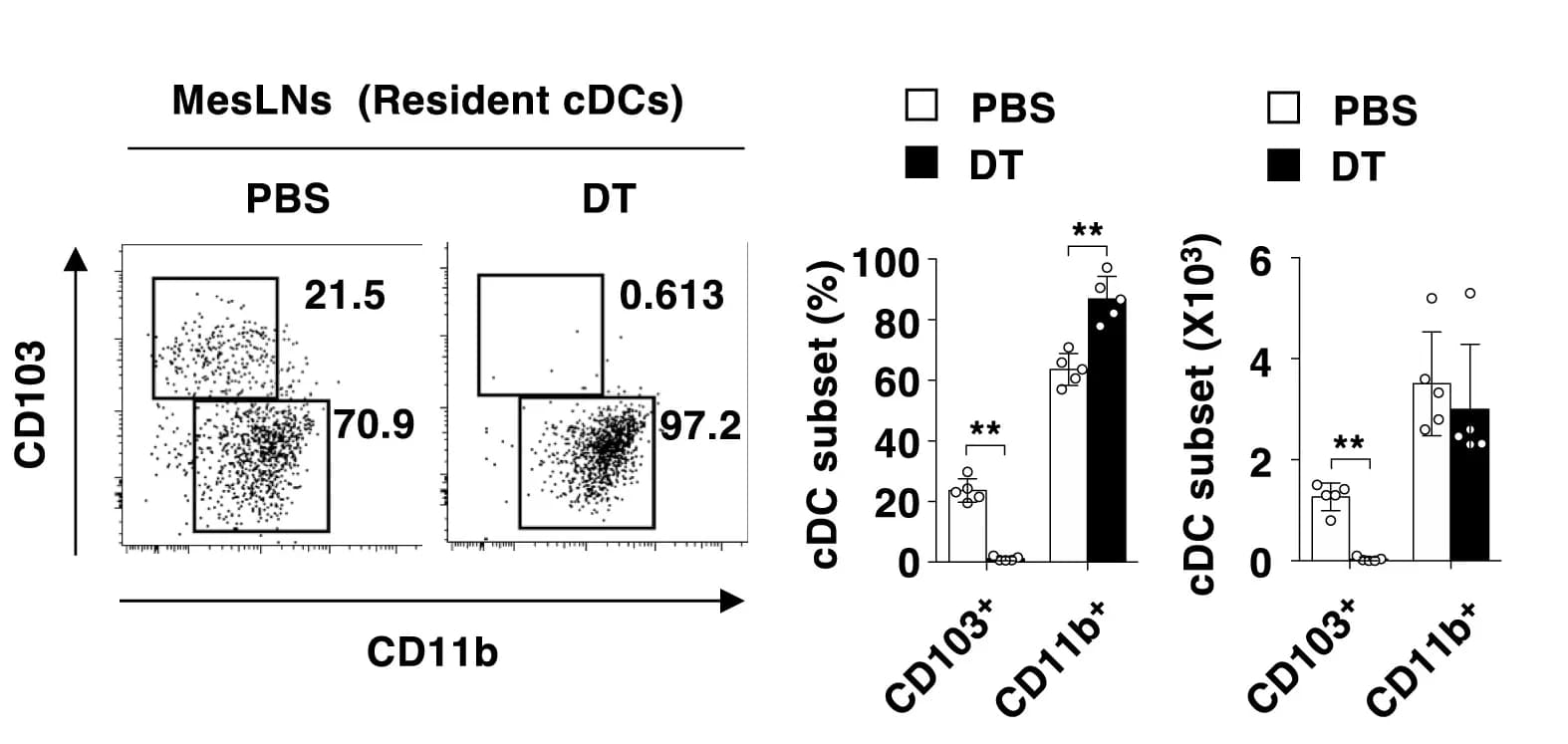 Open access visualization of Bar Plot, Scatter Plot, Error Bars, Resident cDCs, I-A/I-E+CD11chicDCs
