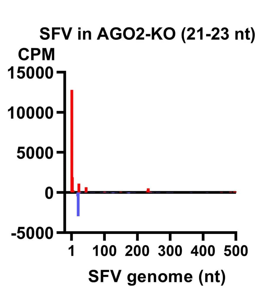 Open access visualization of Bar Plot, vsRNA, SFV Genome, RNA Sequencing