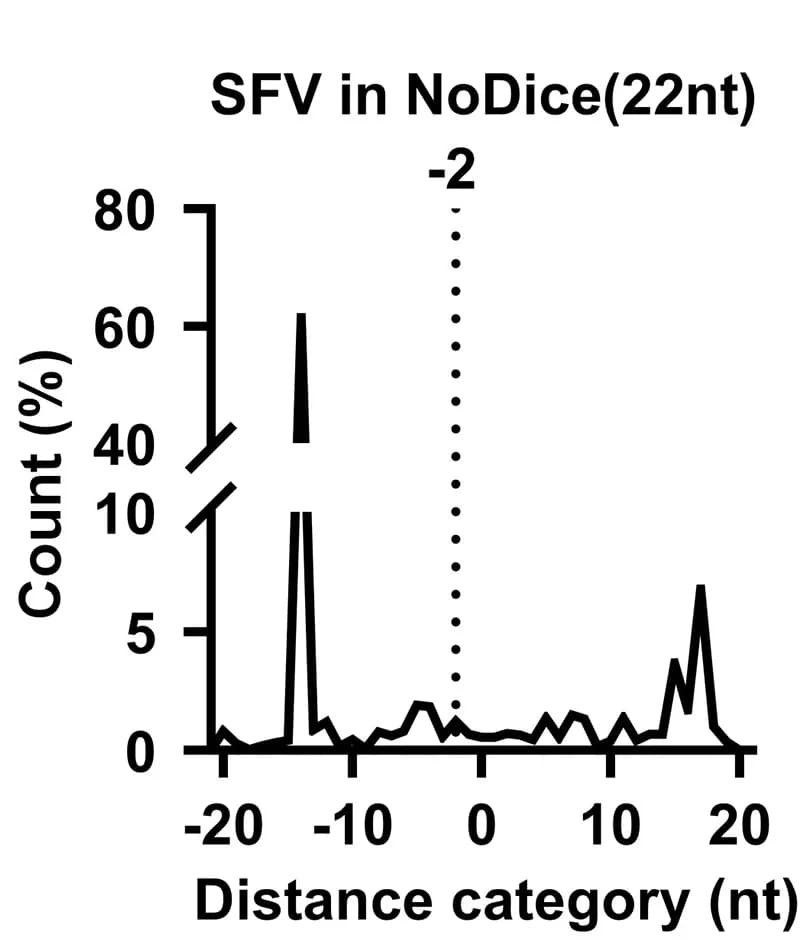Open access visualization of Line Plot, vsRNA, RNA Sequencing, Distance Category