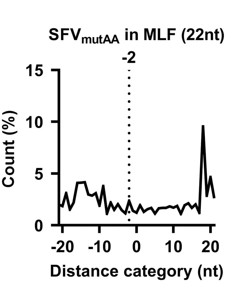 Open access visualization of Line Plot, vsRNA, 5' end, 3' end