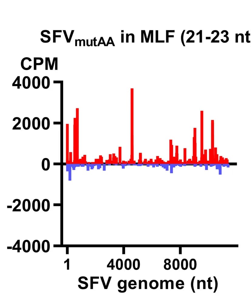 Open access visualization of Bar Plot, SFVmutAA Genome, Reads, RNA