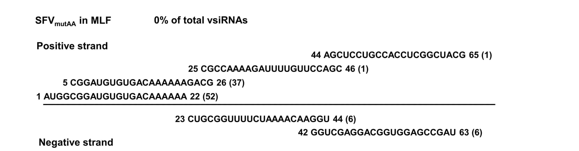 Open access visualization of Illustration, vsRNA, SFVmutAA Genome, Read Sequences, vsiSFV