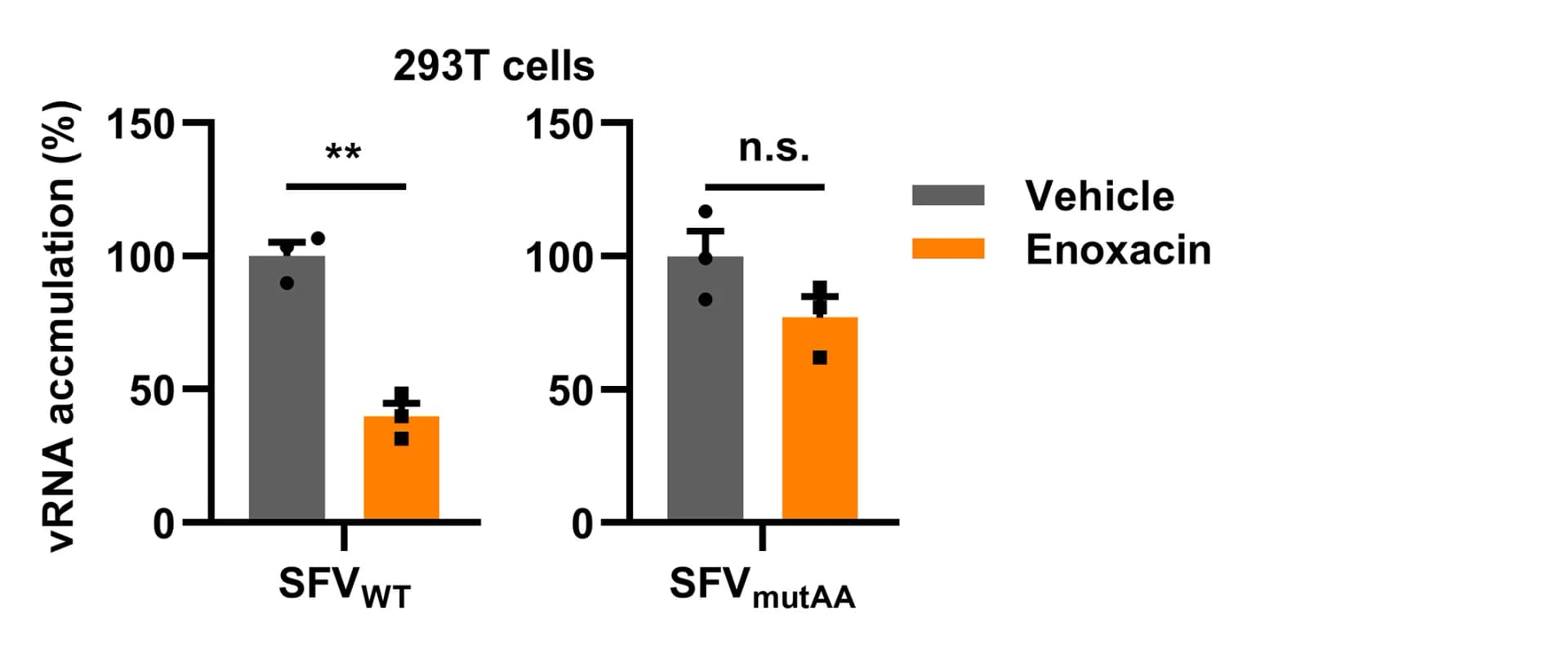 Open access visualization of Bar Plot, Error Bars, Clustered, 293T Cells, WT SFV