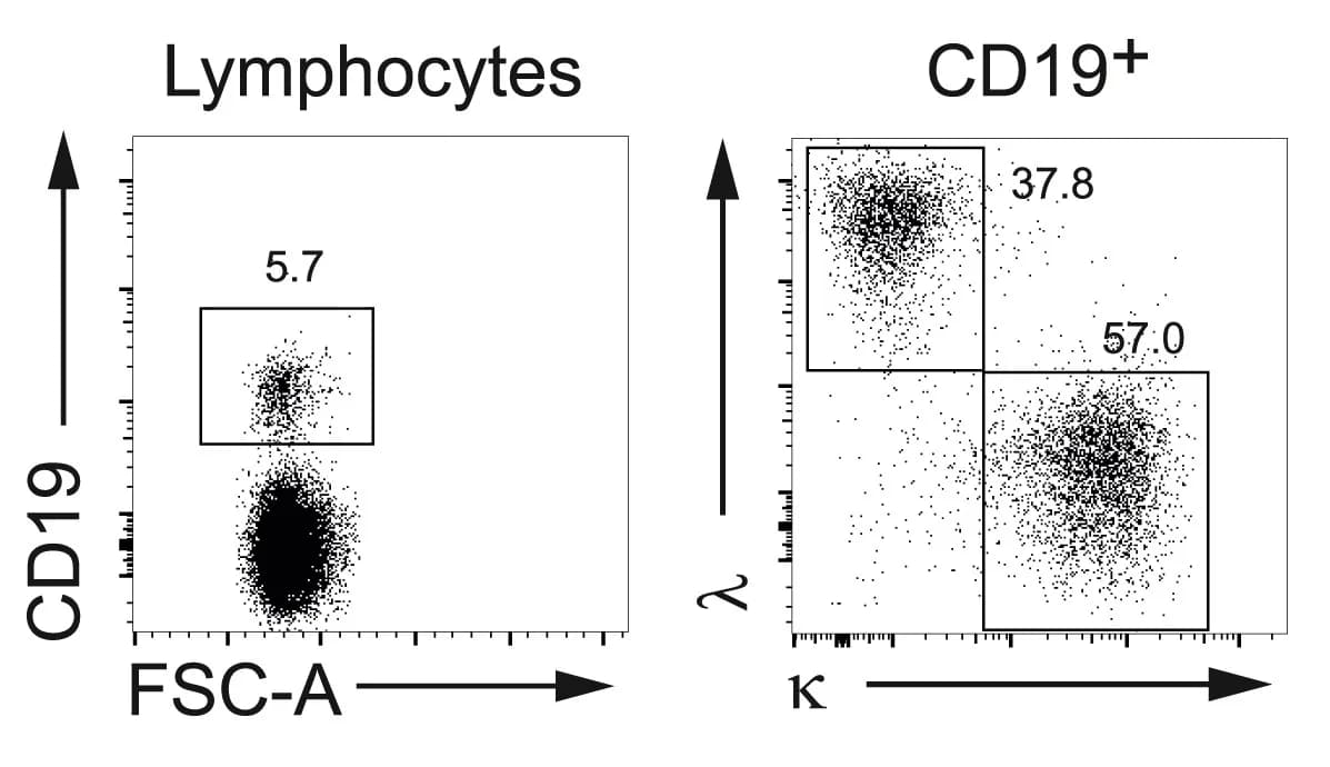 Open access visualization of Scatter Plot, PBMCs, Flow Cytometry, B Cells, kappa