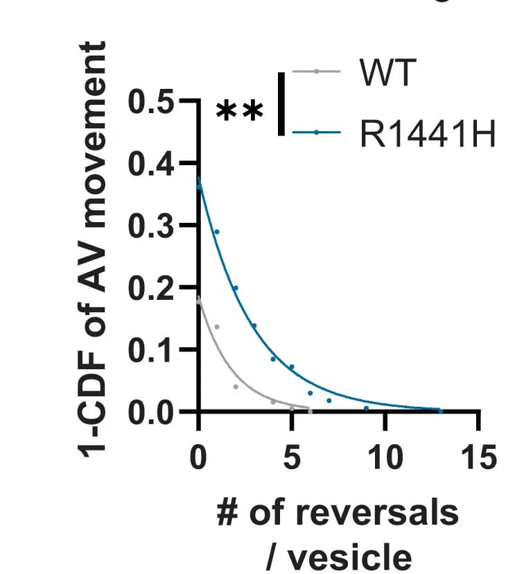 Open access visualization of Line Plot, Scatter Plot, Directional reversals, Motile AVs, iNeurons
