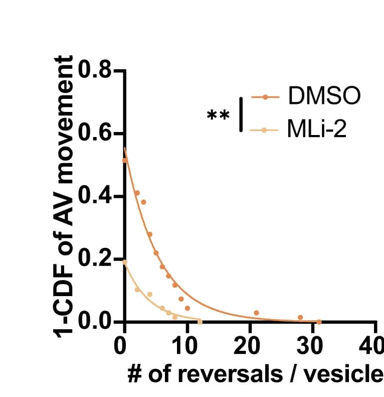 Open access visualization of Line Plot, Scatter Plot, Directional Reversals, Motile AVs, PPM1H KO iNeurons