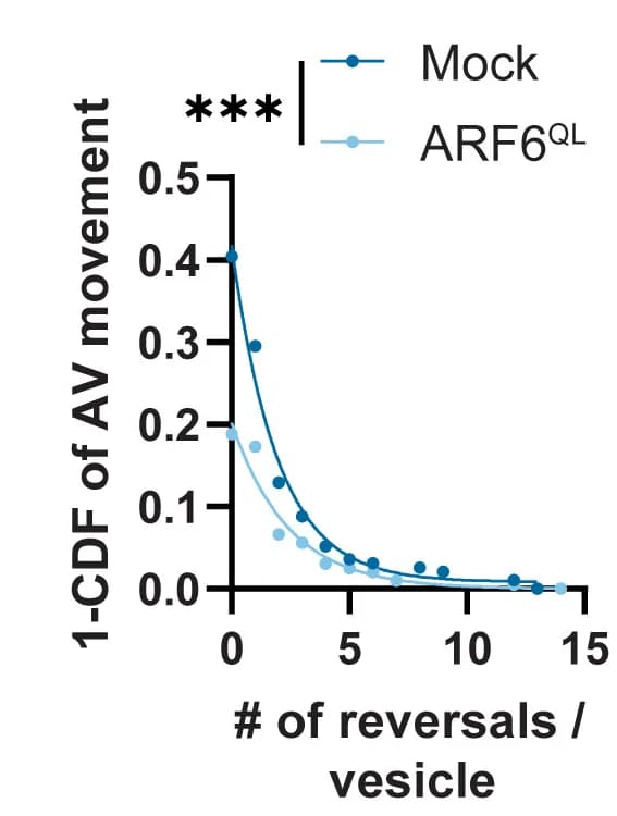 Open access visualization of Line Plot, Scatter Plot, Directional Reversals, Motile AVs, Neurons