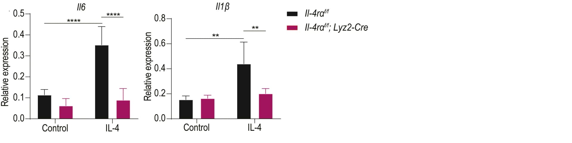 Open access visualization of Bar Plot, Error Bars, Clustered, qPCR, mRNA expression