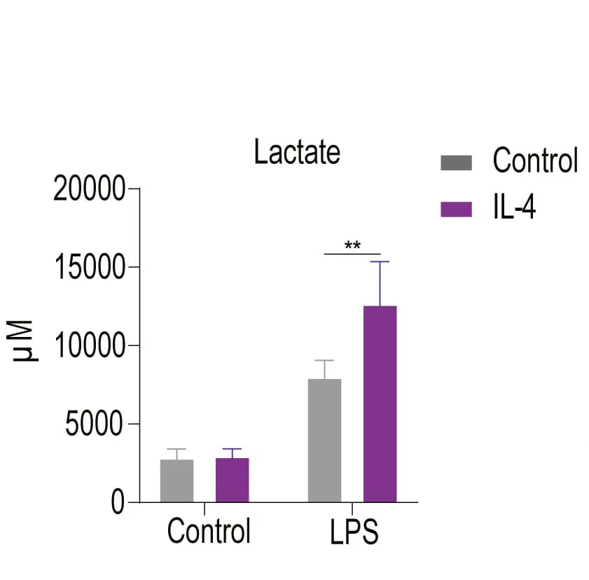 Open access visualization of Bar Plot, Clustered, Error Bars, Lactate, Supernatants