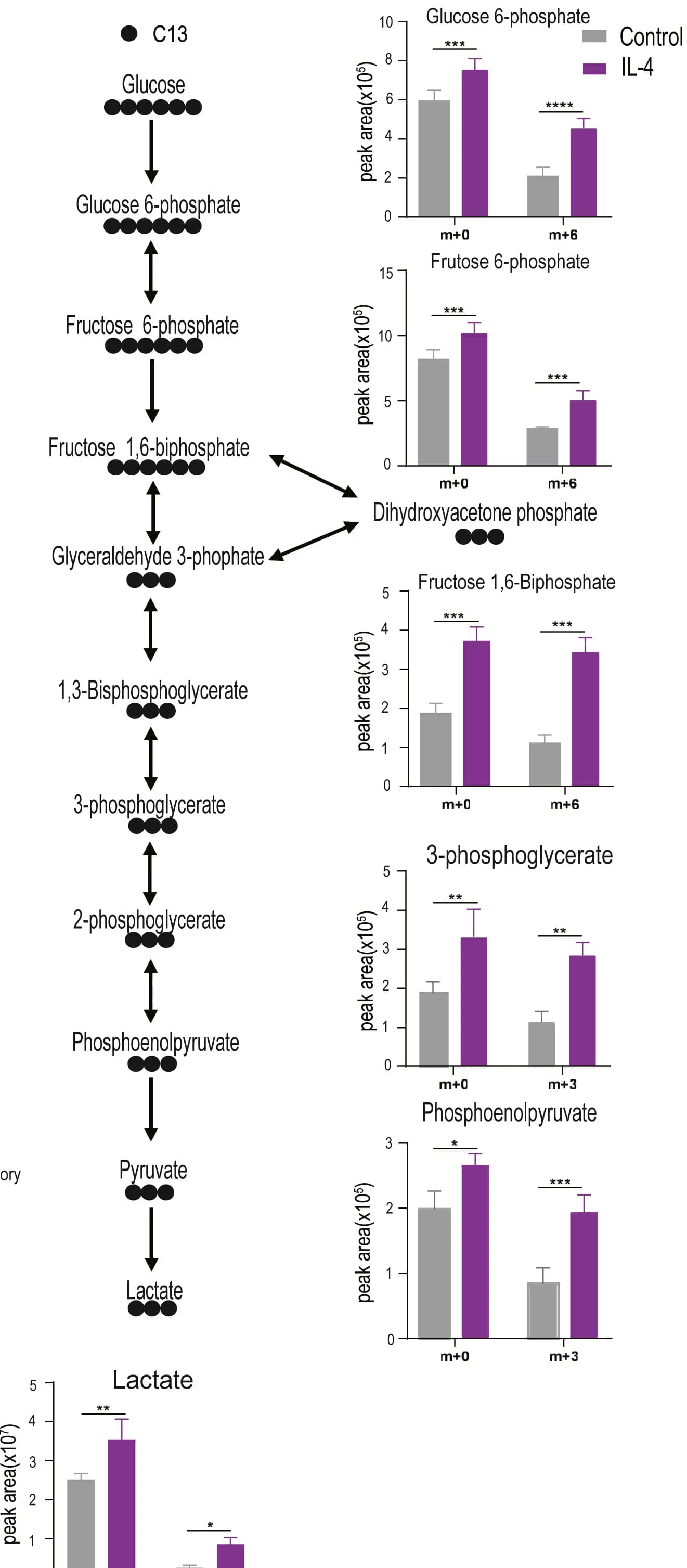 Open access visualization of Workflow, Bar Plot, Error Bars, Metabolites, Glycolysis Pathway