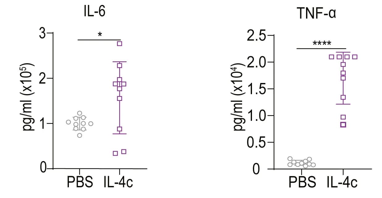 Open access visualization of Scatter Plot, Error Bars, IL-6, TNF-alpha, LPS injection