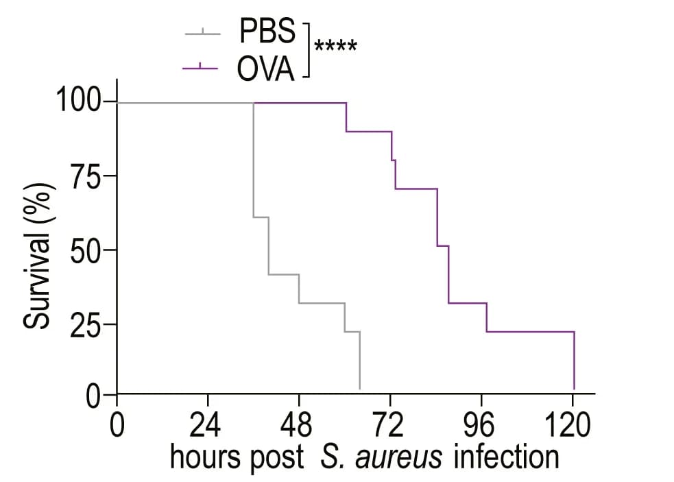 Open access visualization of Line Step, Survival Curve, OVA-Alum primed mice, Wild-type mice, S. aureus infection