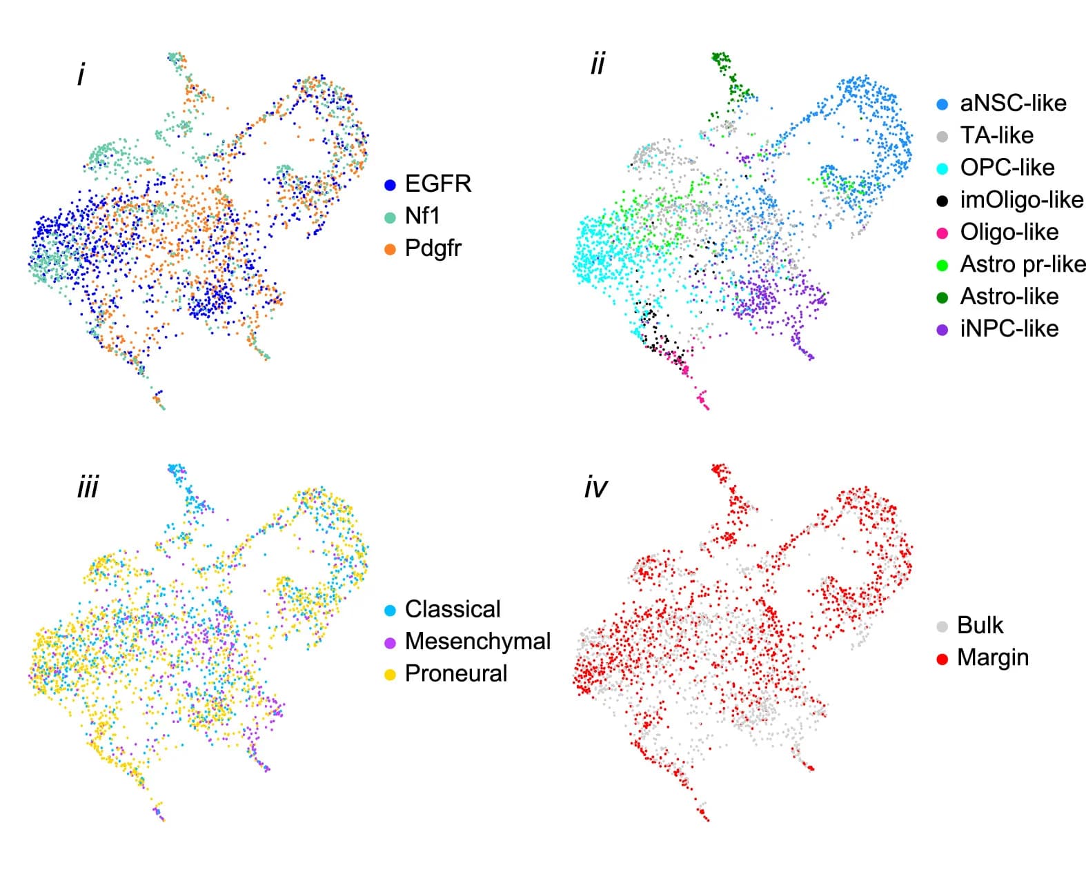 Open access visualization of Scatter Plot, UMAP, GBM Tumor Models, Genotype, Cell State