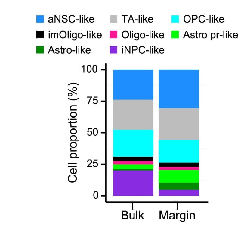 Open access visualization of Stacked Bar Plot, Cell Types, Bulk Region, Margin Region, Tumor Dataset
