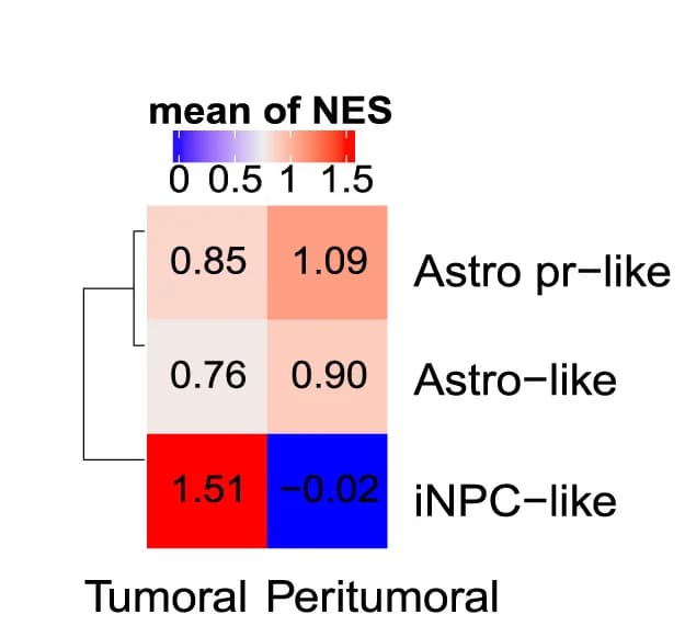 Open access visualization of Heatmap, Clustered, Gene Signatures, scRNA-seq, Wilcoxon Signed-Rank Test