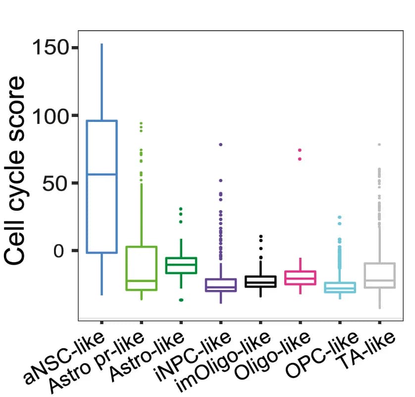 Open access visualization of Box Plot, Cell Cycle, Boxplot, Tumor Models