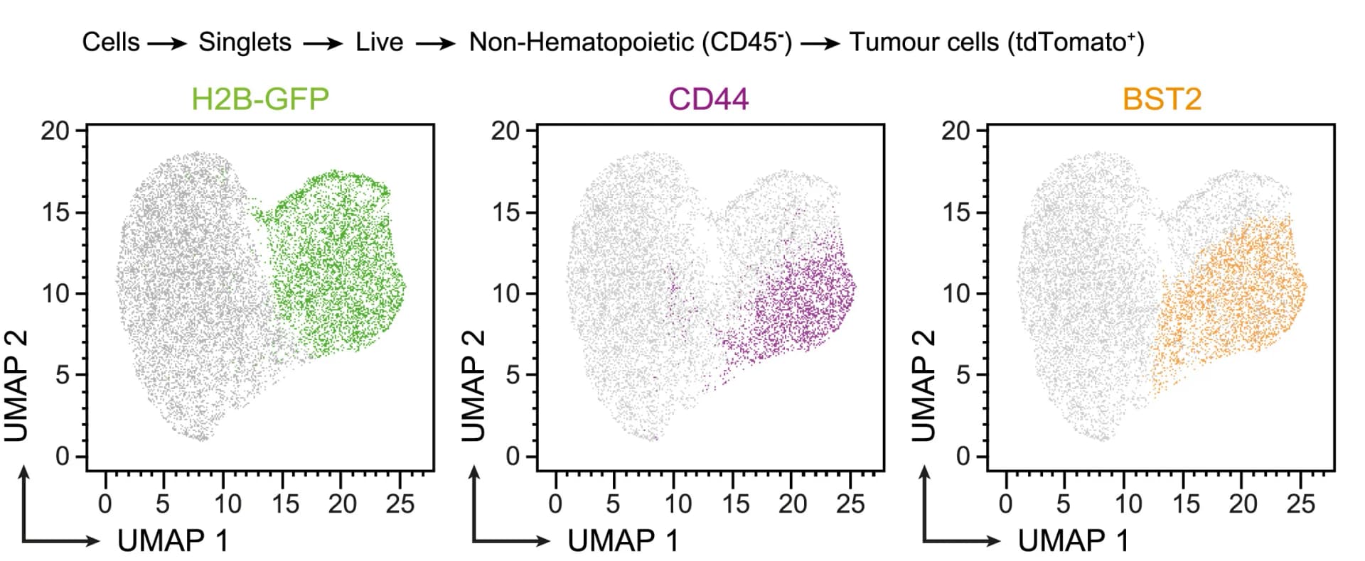 Open access visualization of Scatter Plot, UMAP, Flow Cytometry, GFP, CD44