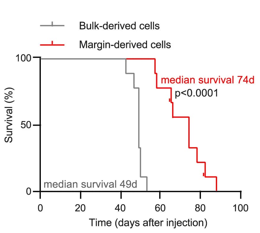 Open access visualization of Survival Curve, Line Step, Kaplan-Meier Survival Plot, Pdgfr Tumors, Bulk Cells