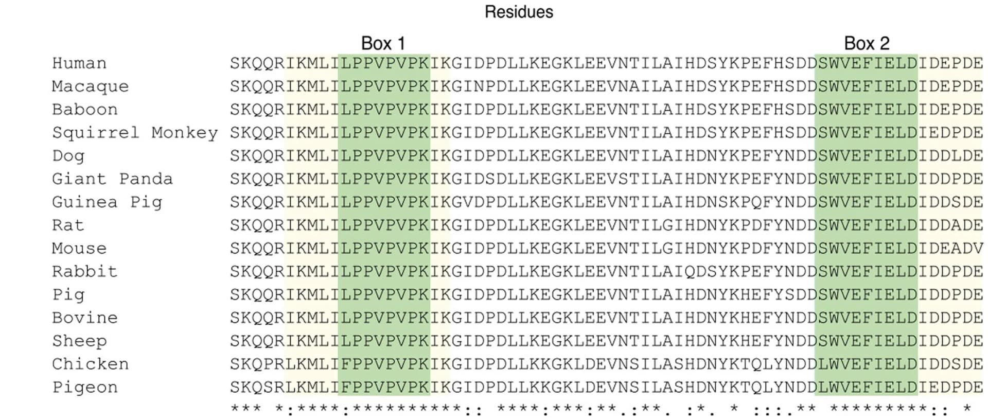 Open access visualization of Table Image, Sequence alignment, LYN-binding sites, GHR, Box1