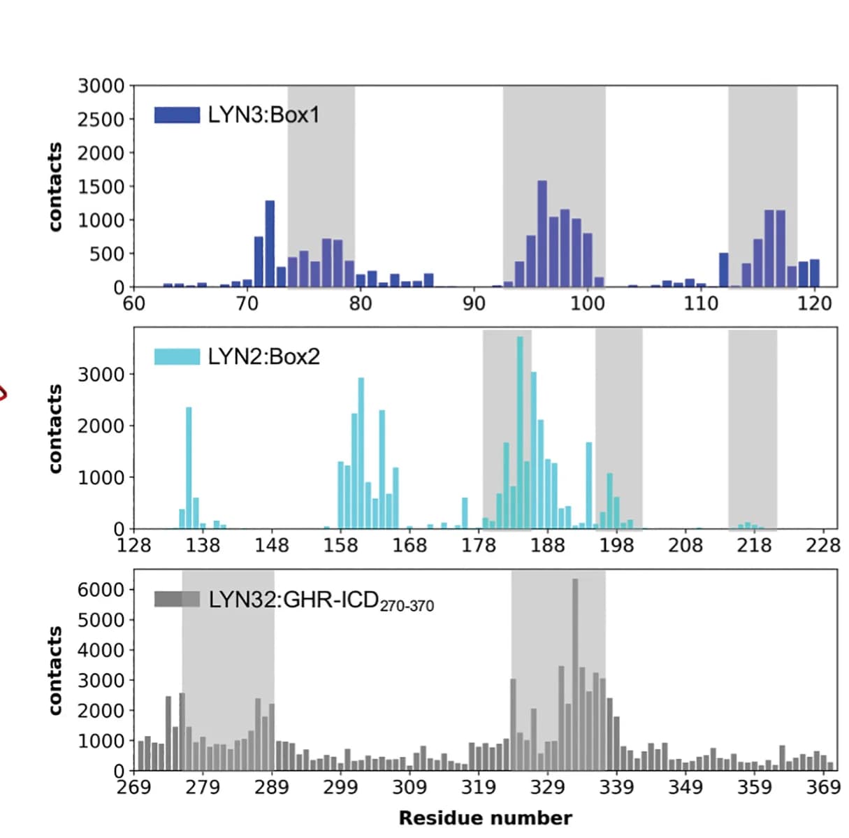 Open access visualization of Bar Plot, Protein Contact, LYN3, GHR-Box1, LYN2