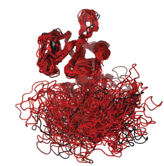 Open access visualization of Protein Structure, Molecular Dynamics, LYN2