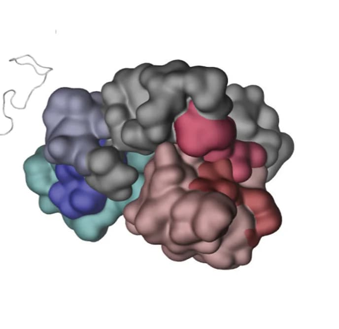 Open access visualization of Protein Structure, LYN3, GHR-ICD270-370, LYN2